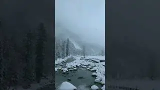Heaven of the Earth #kashmir #winter #snowfall #travel #definingmoments #solotraveler #shorts