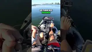 Breaking Tradition  Testing BKK Hooks for  Drop Shot Success!  #fishing