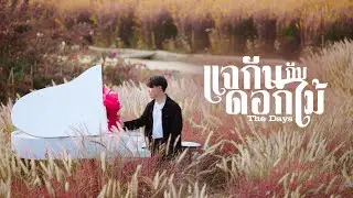 แจกันกับดอกไม้ - The DaysProd. CHOCOLATE - T [Official MV]