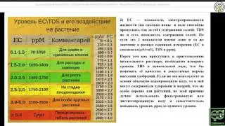 Прокопенко Татьяна - Питание томата, огурца в фермерских теплицах. Разбор типичных ошибок