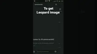How to get Leopard image in Discord using koya bot 