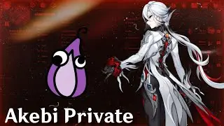 Akebi Private | Um Mini Showcase Do Melhor Cheat Para Genshin Impact!