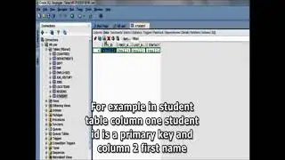SQL tutorial 32  How To Insert Data into a Table Using SQL Developer computer tips and triks pro