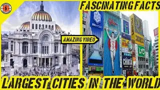 Largest Cities In The World  //  Fantastic Five //  Amazing Video