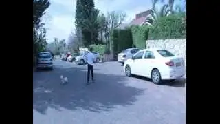 סרטון לבר מצווה הראל