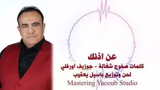 شادي جميل - عن اذنك