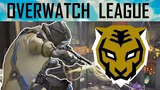 Why The Koreans Used Solo-Support To Attack Numbani | Seoul vs Houston Overwatch League