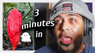Ate A Ghost Pepper Then Proceed To Record Rap Vocals