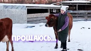 ПРОДАЛА КОРМИЛИЦ. ЧТО ТЕПЕРЬ ДЕЛАТЬ?