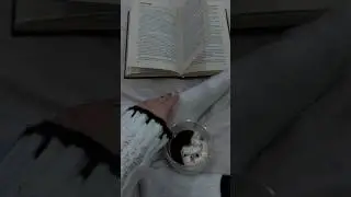Встречаю уютную пору . Какие у вас ритуалы с наступлением зимы? Подписывайся inst : Margaritka_usa86