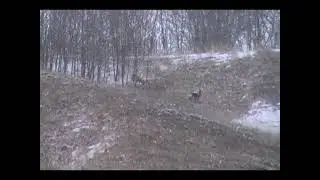 29 мая 2021 г.