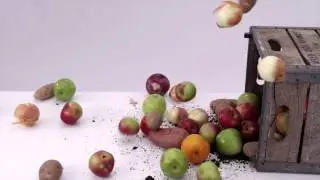 ¿Qué alimentos debes evitar durante el embarazo?