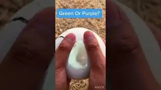 Green or purple #shorts