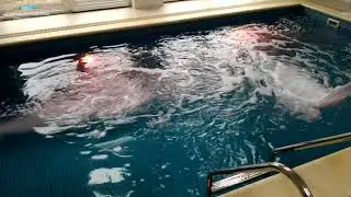 Красивый бассейн под ключ от УкрПроектБассейн