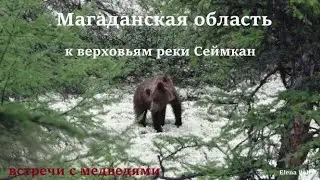 К верховьям реки Сеймкан movie