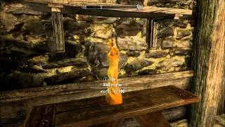 Skyrim : House Hunter : Dovakiin's Retreat / Hideout