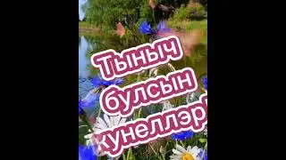 22 августа 2024 г.