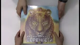 Распаковка настольных игр Амулет и Дикая Природа Серенгети с комп-ми от Meeple Foxes и Meeple House