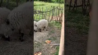 Հրաշք բնության գրկում