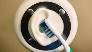 ASMR Ear Cleaning for DEEP Sleep and Tingles (No Talking)