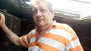 количество щенков приплода у нутрий