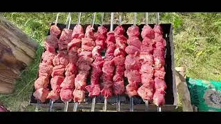 Часть 5  Горы, камни и шашлык
