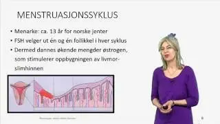 Menstruasjonssyklus