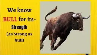 Animals popularly known for...