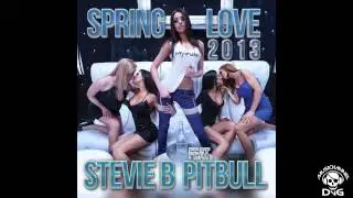 Stevie B & Pitbull - Spring Love 2013