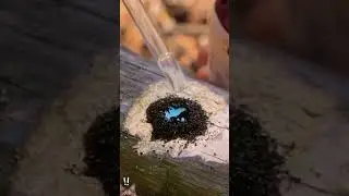 Fire-Starting Skill in Seconds! 🔥