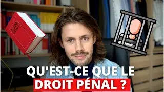 Introduction to General Criminal Law (Criminal Law Course)