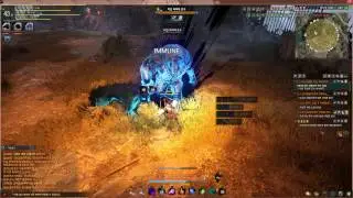 Black Desert Online OBT Korean : Beast Master vs Boss 43 lvl