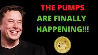DOGECOIN HUGE PUMPS ARE FINALLY HERE!!?? CRYPTO BREAKOUT STARTING NOW? | DOGECOIN NEWS 