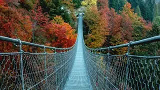 Ponte Tibetano Pasubio | Nicolò Borgo