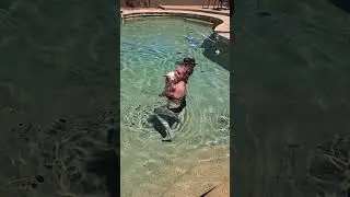 Little Dog enjoying the pool 