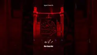 Yeh Janaza Hai Ali as Ka - #shorts #imamaliع
