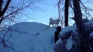Cross Country Skiing Fail