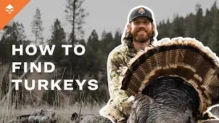Tips To Find More Turkeys