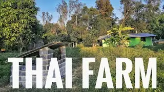 Our farm life in Thailand 🇹🇭