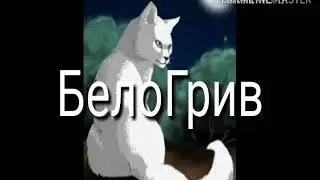Кв клип •эхо•