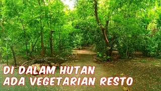 CARI MENU VEGETARIAN SAMPAI MASUK KE HUTAN | KULINER JOGJA