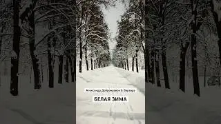 Снова белая зима и снежинки за окном ❄️ #shorts #зима #варвара #александрдобронравов