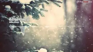 HollerHavoc   Reign Forest