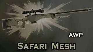 Safari Mesh AWP StatTrak stickers skin preview FN/MW/FT/WW/BS — CS:GO