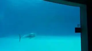 Аквацентр в Riccione