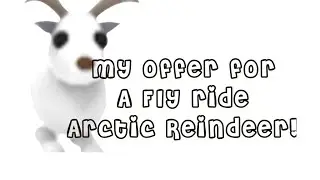 My offer for a fly ride Arctic reindeer! [ Adopt me ] Read pinned comment..