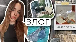 ВЛОГ | УДАЛЕНИЕ ТАТУ, ЗООПАРК, ГОТИВИМ ЧИТ МИЛ