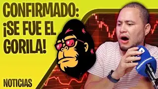 FEG TOKEN DESAPARECE