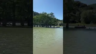 Кипарисовое озеро в Сукко