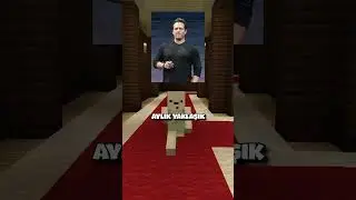 minecraft'ı kaç kişi oynuyor 🌳